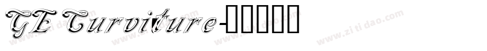 GE Curviture字体转换